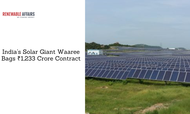 India’s Solar Giant Waaree Bags ₹1,233 Crore Contract