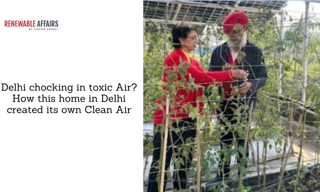 Delhi chocking in toxic Air? How this home in Delhi created its own Clean Air