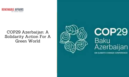 COP29 Azerbaijan: A Solidarity Action For A Green World