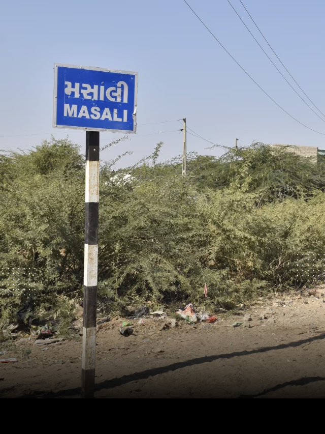 Masali Village: Solar Power on the Indo-Pak Border!