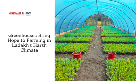 Greenhouses Bring Hope to Farming in Ladakh’s Harsh Climate