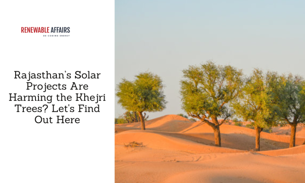 Rajasthan’s Solar Projects Are Harming the Khejri Trees? 