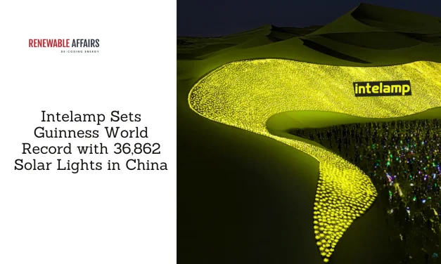 Intelamp Sets Guinness World Record with 36,862 Solar Lights in China