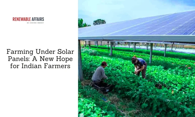 Farming Under Solar Panels: A New Hope for Indian Farmers