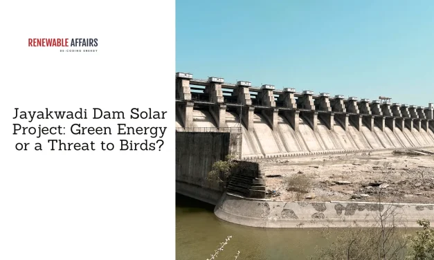 Jayakwadi Dam Solar Project: Green Energy or a Threat to Birds?