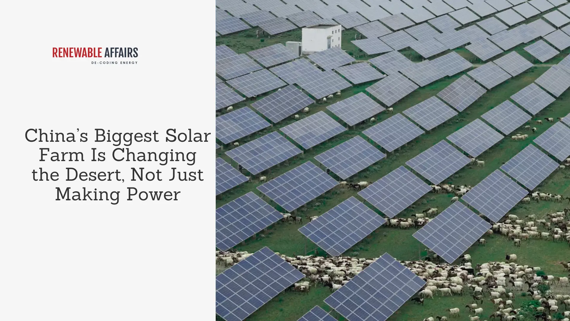 China’s Biggest Solar Farm Is Changing the Desert, Not Just Making Power